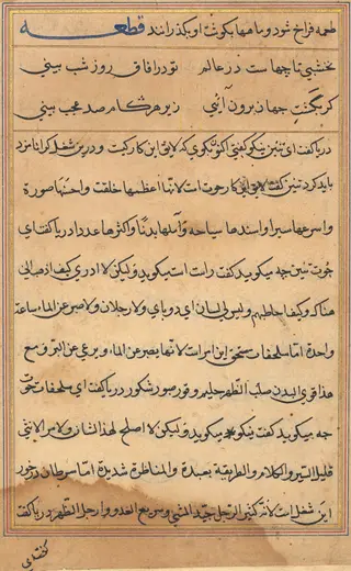 Page from Tales of a Parrot (Tuti-nama): text page, by Unknown, 1560