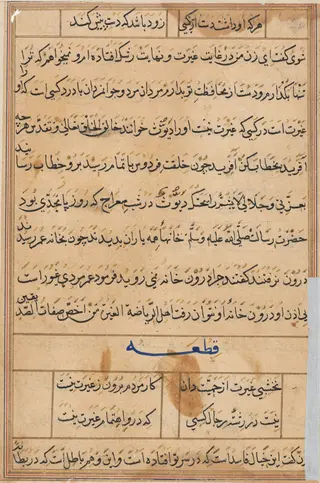 Page from Tales of a Parrot (Tuti-nama): text page, by Unknown, 1560