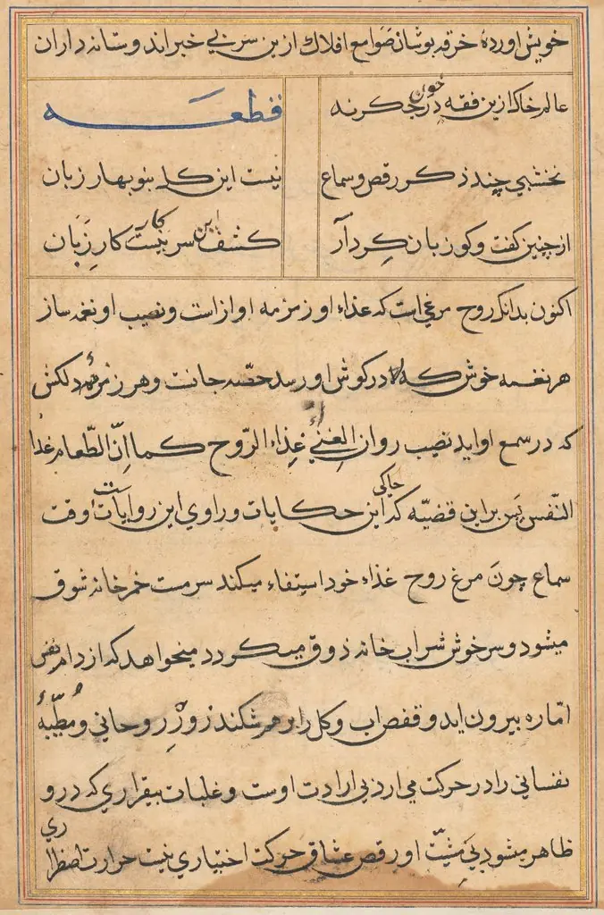 Page from Tales of a Parrot (Tuti-nama): text page, by Unknown