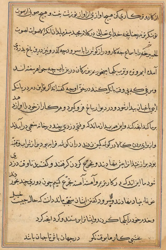 Page from Tales of a Parrot (Tuti-nama): text page, by Unknown
