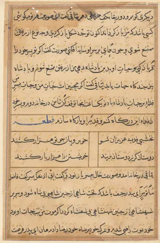 Page from Tales of a Parrot (Tuti-nama): text page, by Unknown, 1560