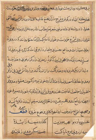 Page from Tales of a Parrot (Tuti-nama): text page, by Unknown, 1560