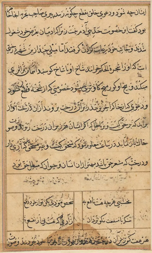 Page from Tales of a Parrot (Tuti-nama): text page, by Unknown