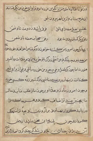 Page from Tales of a Parrot (Tuti-nama): text page, by Unknown, 1560