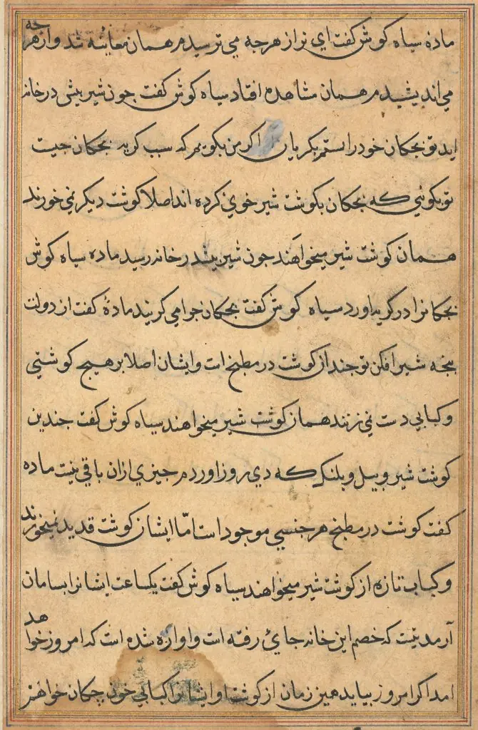 Page from Tales of a Parrot (Tuti-nama): text page, by Unknown