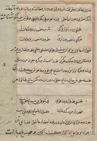 Page from Tales of a Parrot (Tuti-nama): text page, by Unknown, 1560