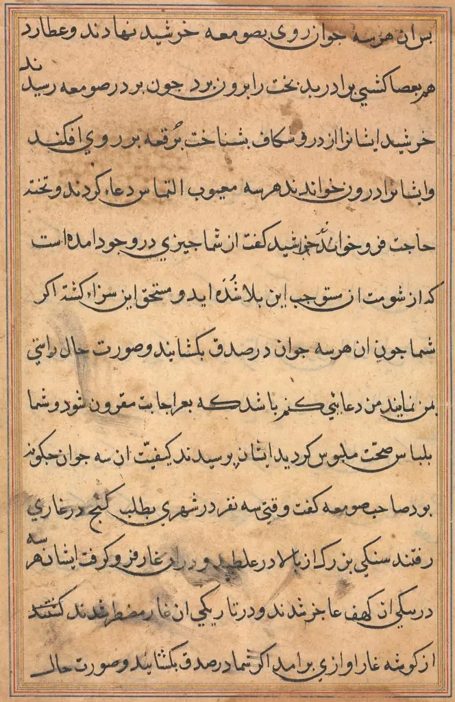 Page from Tales of a Parrot (Tuti-nama): text page, by Unknown