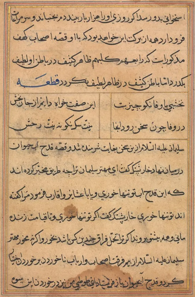 Page from Tales of a Parrot (Tuti-nama): text page, by Unknown