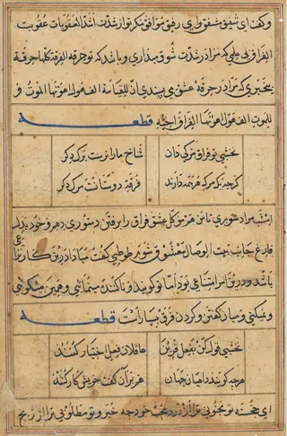 Page from Tales of a Parrot (Tuti-nama): text page, by Unknown, 1560