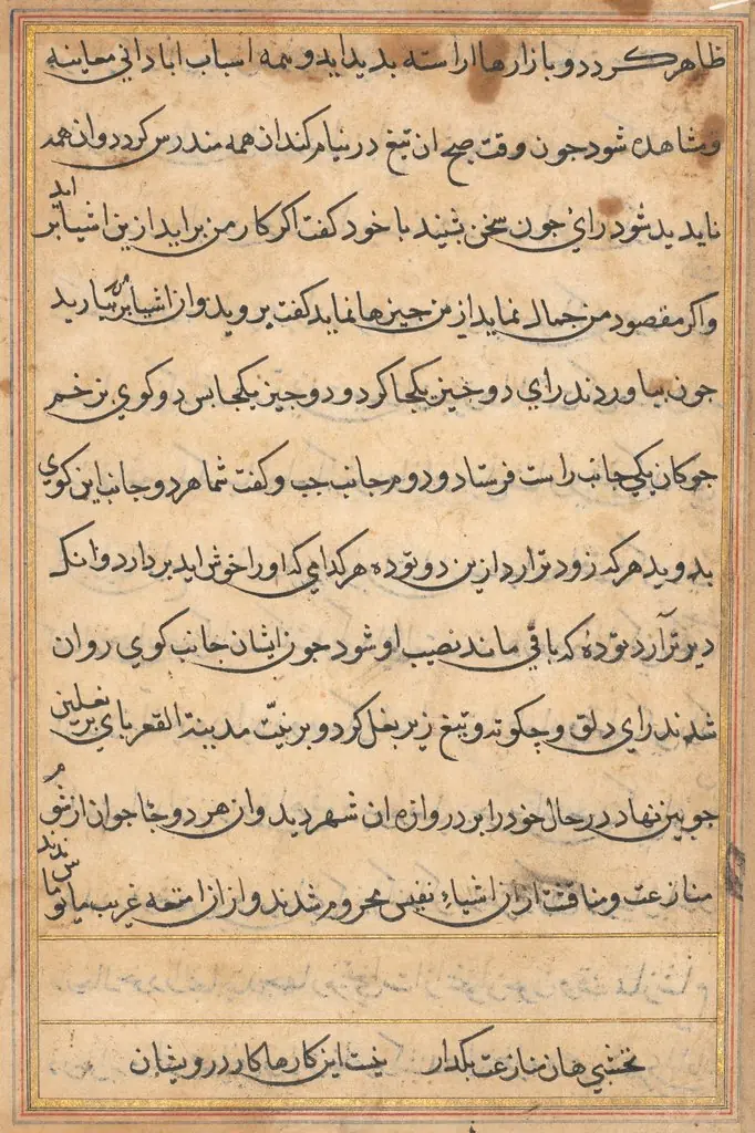 Page from Tales of a Parrot (Tuti-nama): text page, by Unknown