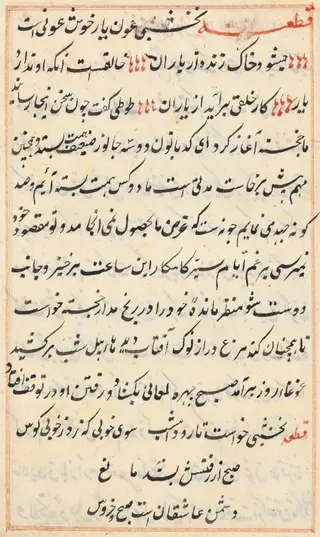 Page from Tales of a Parrot (Tuti-nama): text page, by Unknown, 1560