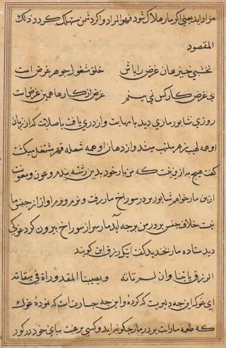 Page from Tales of a Parrot (Tuti-nama): text page, by Unknown