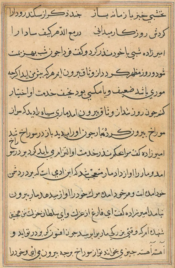 Page from Tales of a Parrot (Tuti-nama): text page, by Unknown