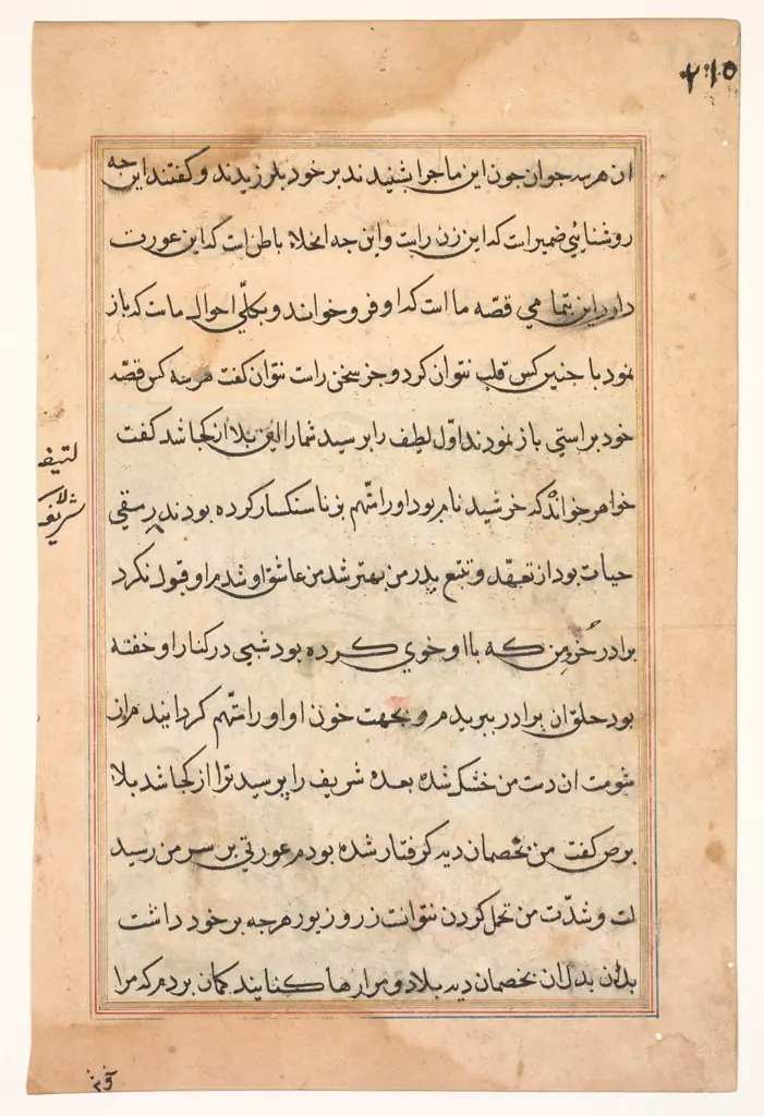Page from Tales of a Parrot (Tuti-nama): text page, by Unknown
