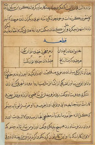 Page from Tales of a Parrot (Tuti-nama): text page, by Unknown, 1560