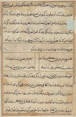 Page from Tales of a Parrot (Tuti-nama): text page, by Unknown, 1560