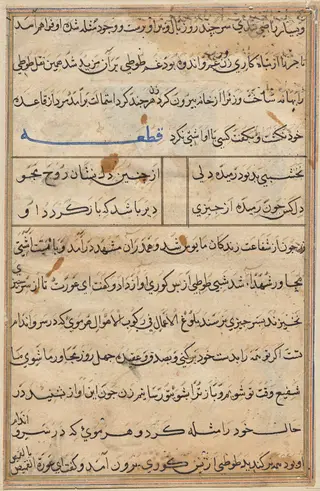 Page from Tales of a Parrot (Tuti-nama): text page, by Unknown, 1560