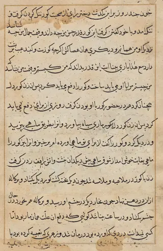 Page from Tales of a Parrot (Tuti-nama): text page, by Unknown