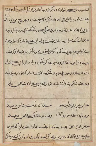 Page from Tales of a Parrot (Tuti-nama): text page, by Unknown, 1560