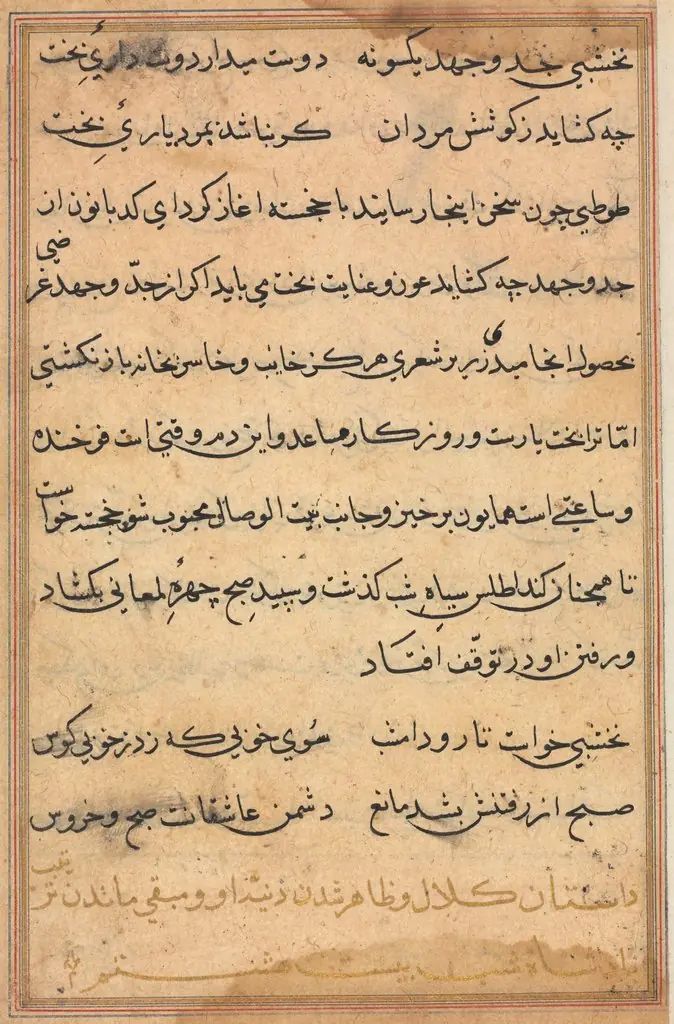 Page from Tales of a Parrot (Tuti-nama): text page, by Unknown