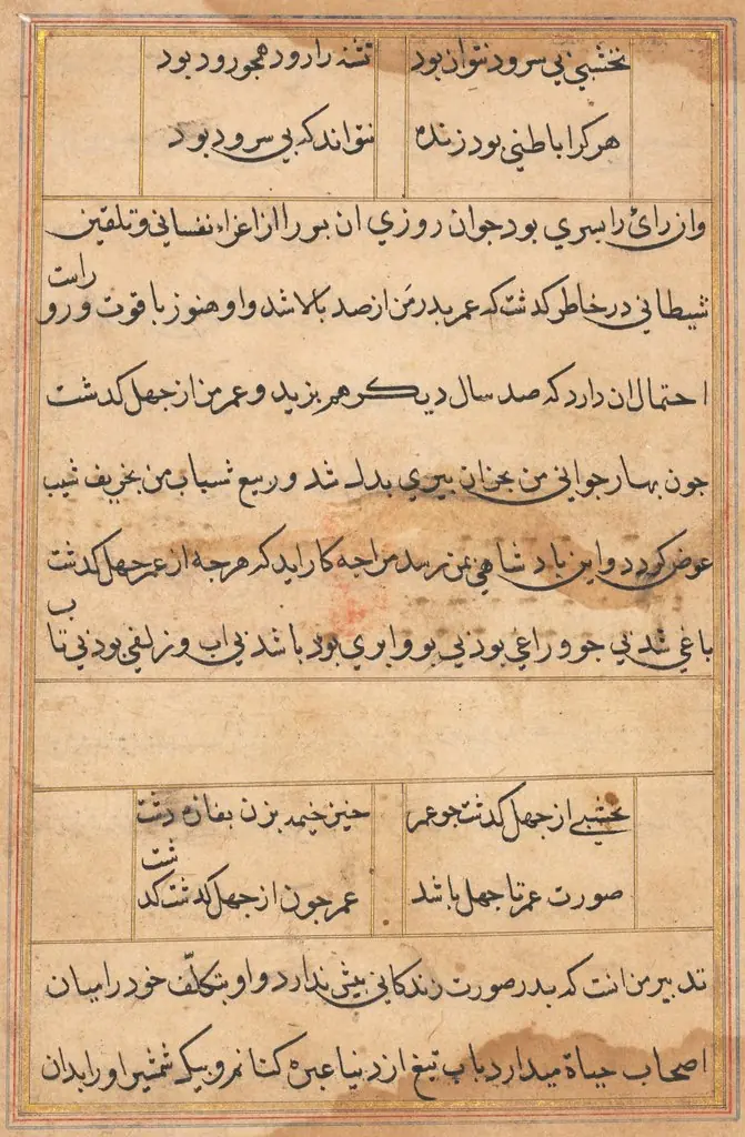 Page from Tales of a Parrot (Tuti-nama): text page, by Unknown