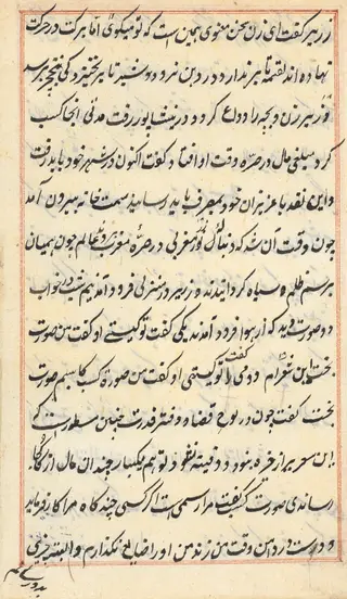 Page from Tales of a Parrot (Tuti-nama): text page, by Unknown