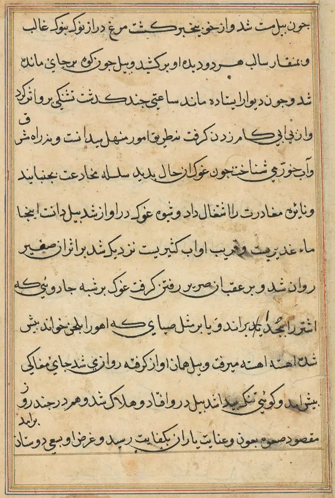 Page from Tales of a Parrot (Tuti-nama): text page, by Unknown