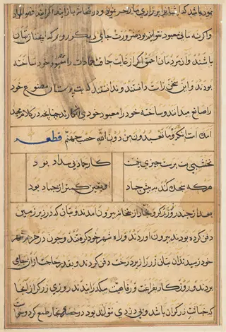 Page from Tales of a Parrot (Tuti-nama): text page, by Unknown, 1560