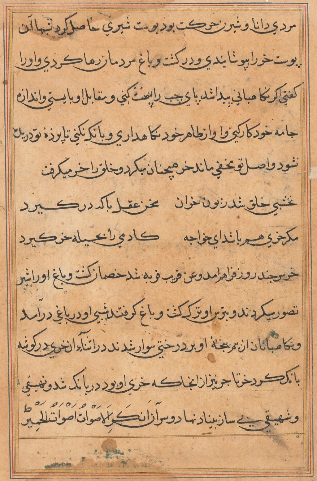 Page from Tales of a Parrot (Tuti-nama): text page, by Unknown, unspecified, 1560