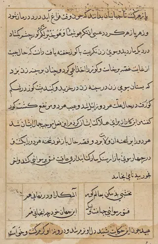 Page from Tales of a Parrot (Tuti-nama): text page, by Unknown, 1560