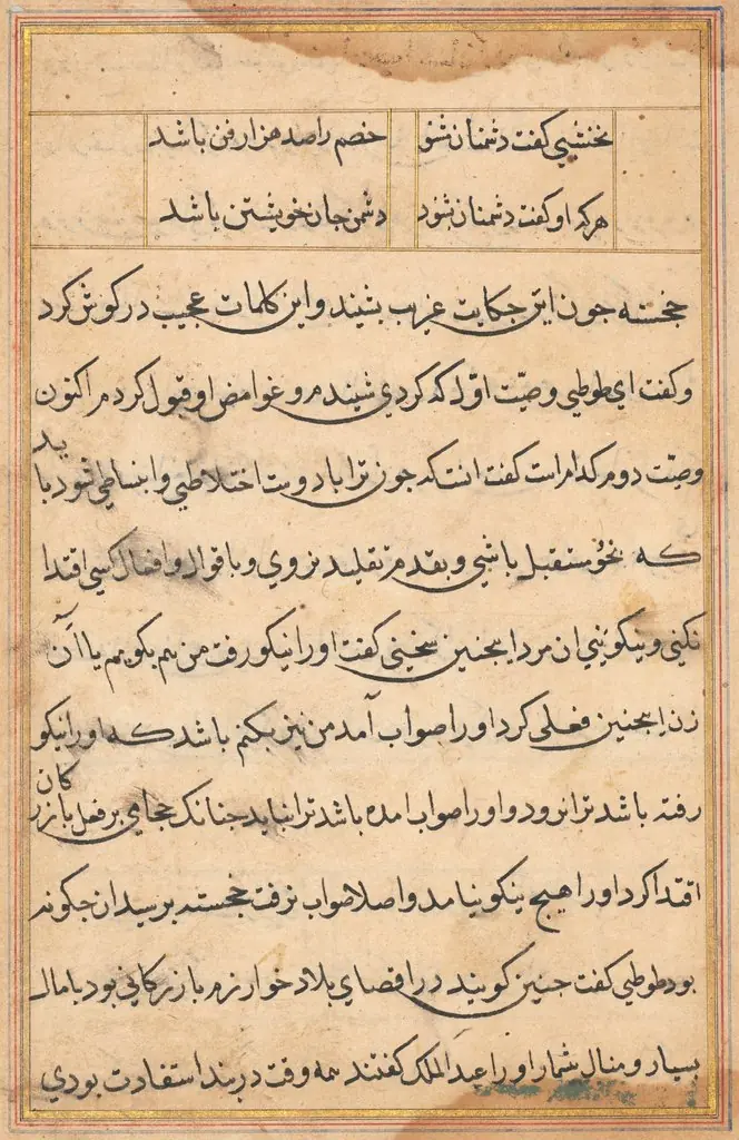 Page from Tales of a Parrot (Tuti-nama): text page, by Unknown