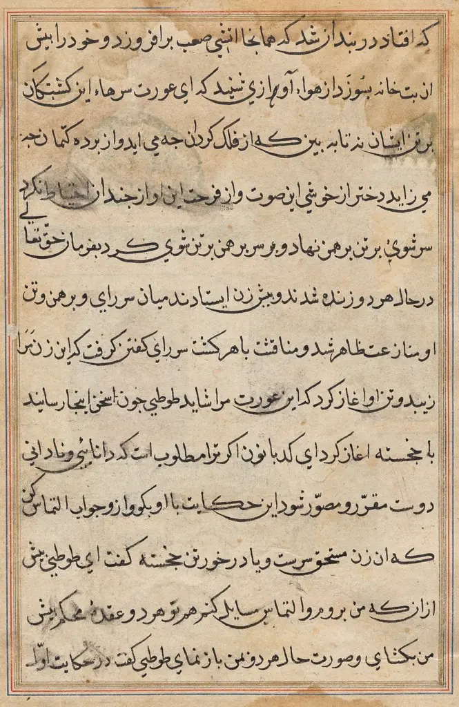 Page from Tales of a Parrot (Tuti-nama): text page, by Unknown