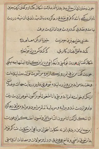 Page from Tales of a Parrot (Tuti-nama): text page, by Unknown