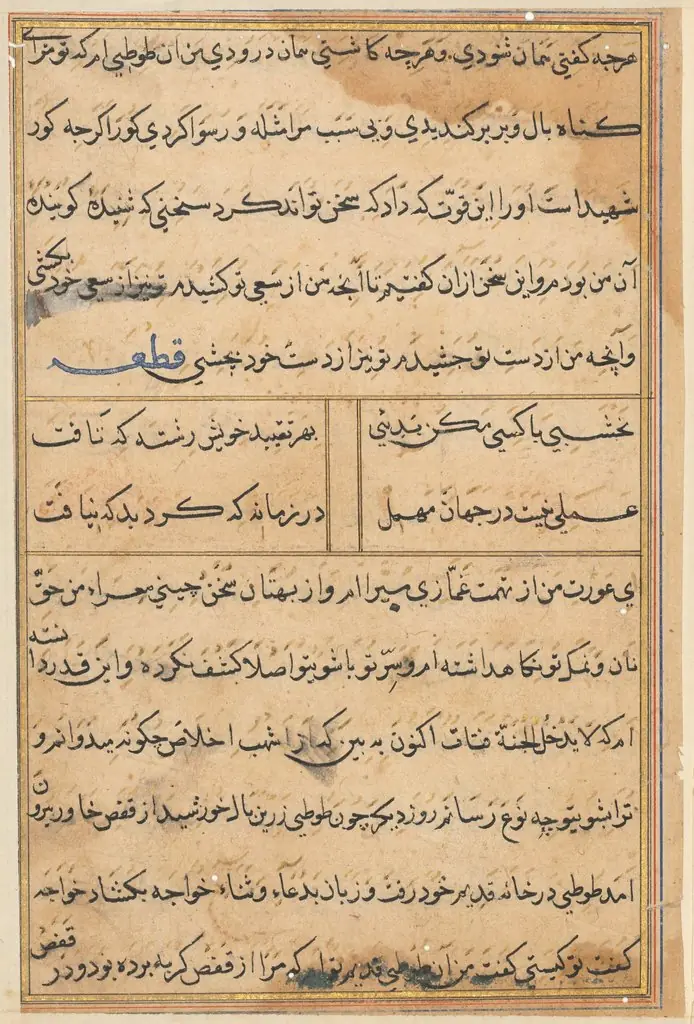 Page from Tales of a Parrot (Tuti-nama): text page, by Unknown