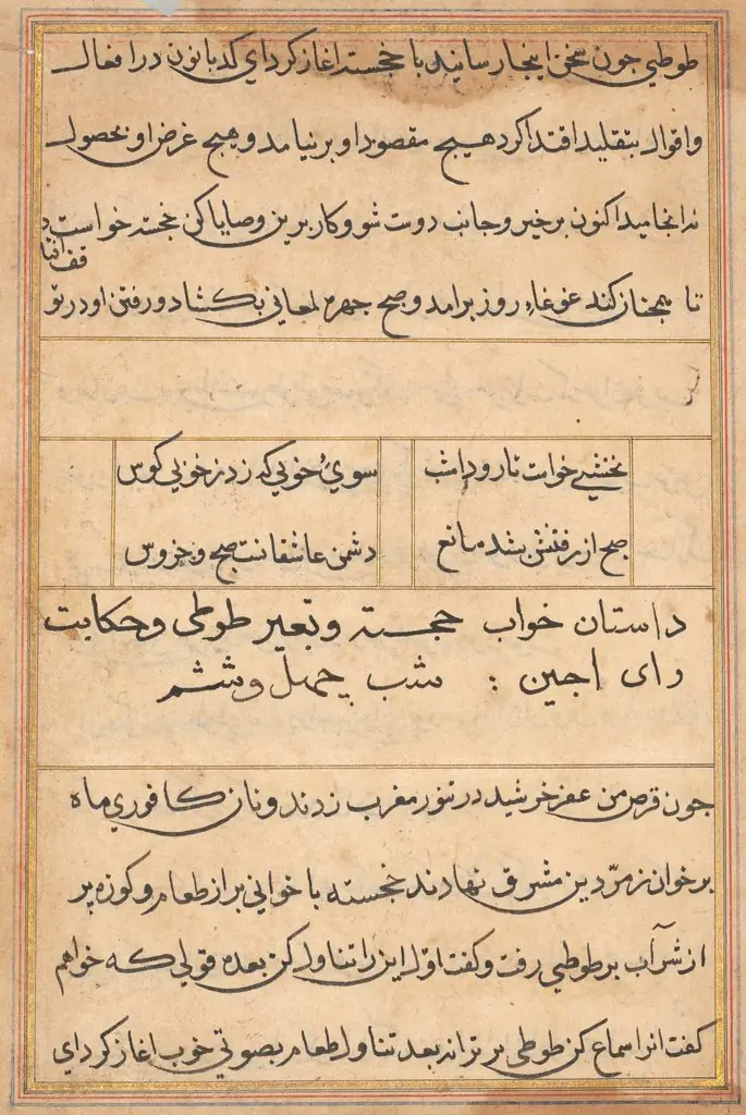 Page from Tales of a Parrot (Tuti-nama): text page, by Unknown