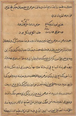 Page from Tales of a Parrot (Tuti-nama): text page, by Unknown