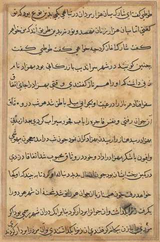 Page from Tales of a Parrot (Tuti-nama): text page, by Unknown