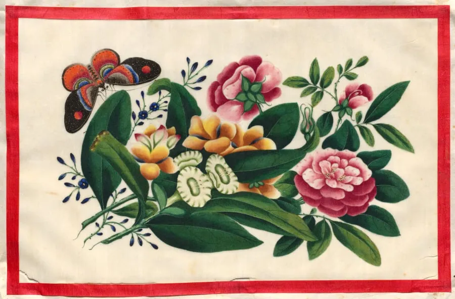 Painting Eight from Illustrated Book of Flowers and Butterflies, by Unknown, unspecified, 1804