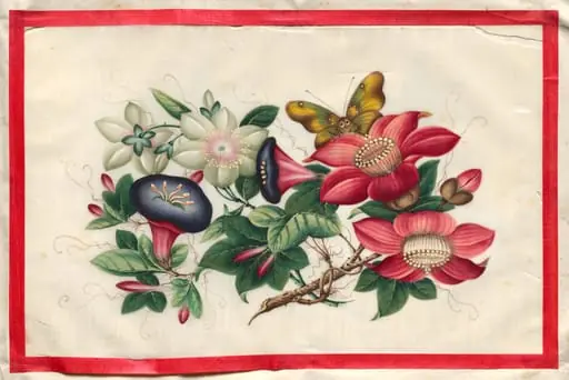 Painting Eleven from Illustrated Book of Flowers and Butterflies, by Unknown