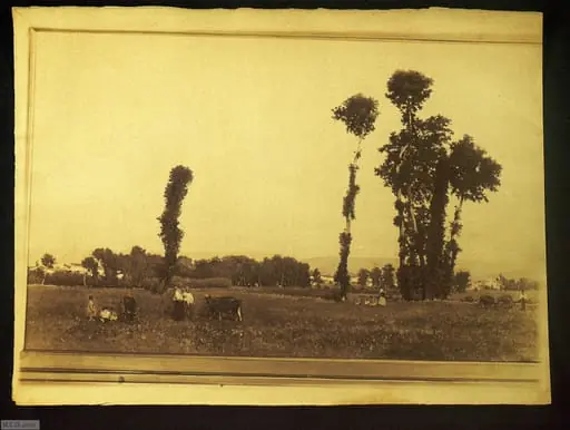 [Paisaje rural], by Unknown