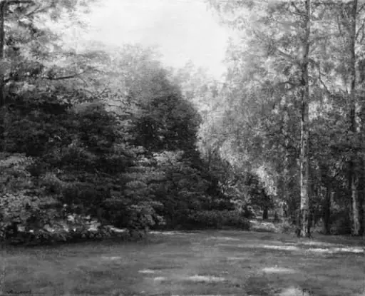 Park with Tall Trees, by Unknown