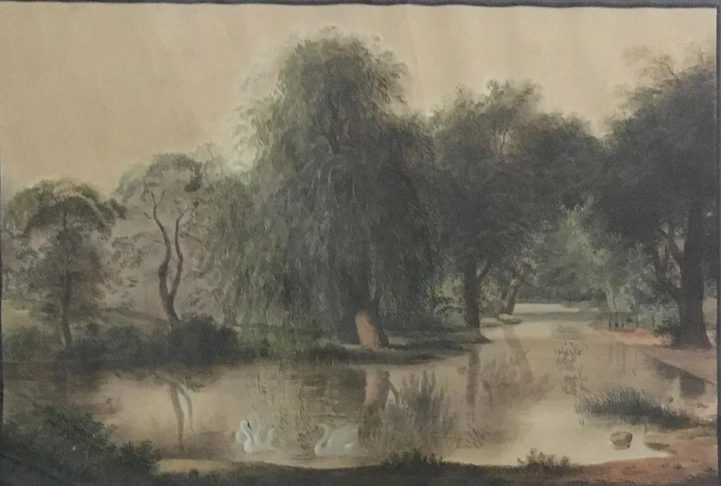 Parti fra Kiels omegn. En skyggefuld lund eller have; en bred å bugter sig mellem trægrupperne og taber sig i dybden til højre i billedet; i forgrunden to svaner., by Unknown, unspecified, 1750