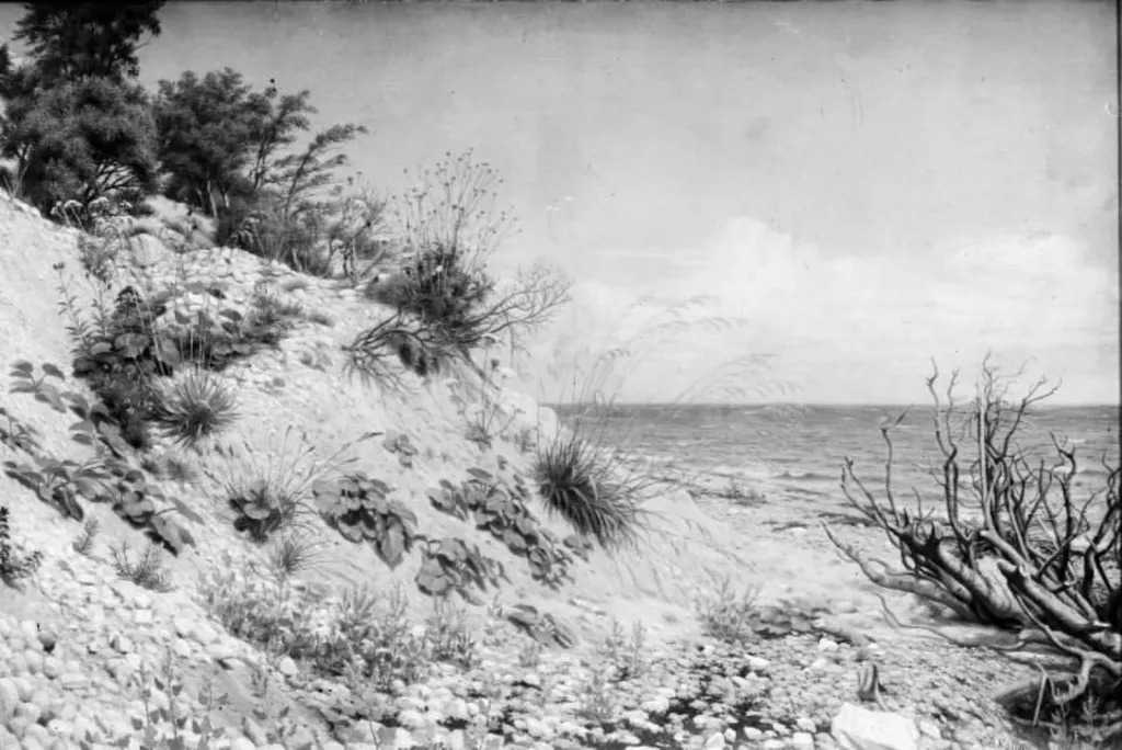 Parti ved Møens strand, by Unknown, 1871