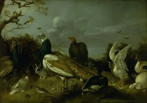 Peacocks, Ducks and other Animals, by Unknown