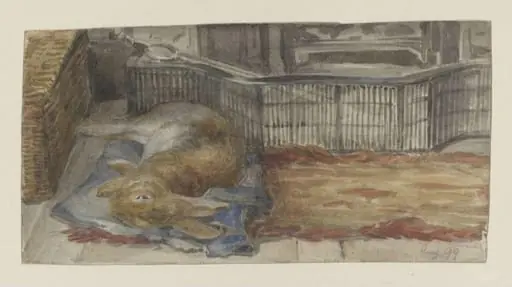 Peter Piper lying on his blue quilt by the fire, by Unknown