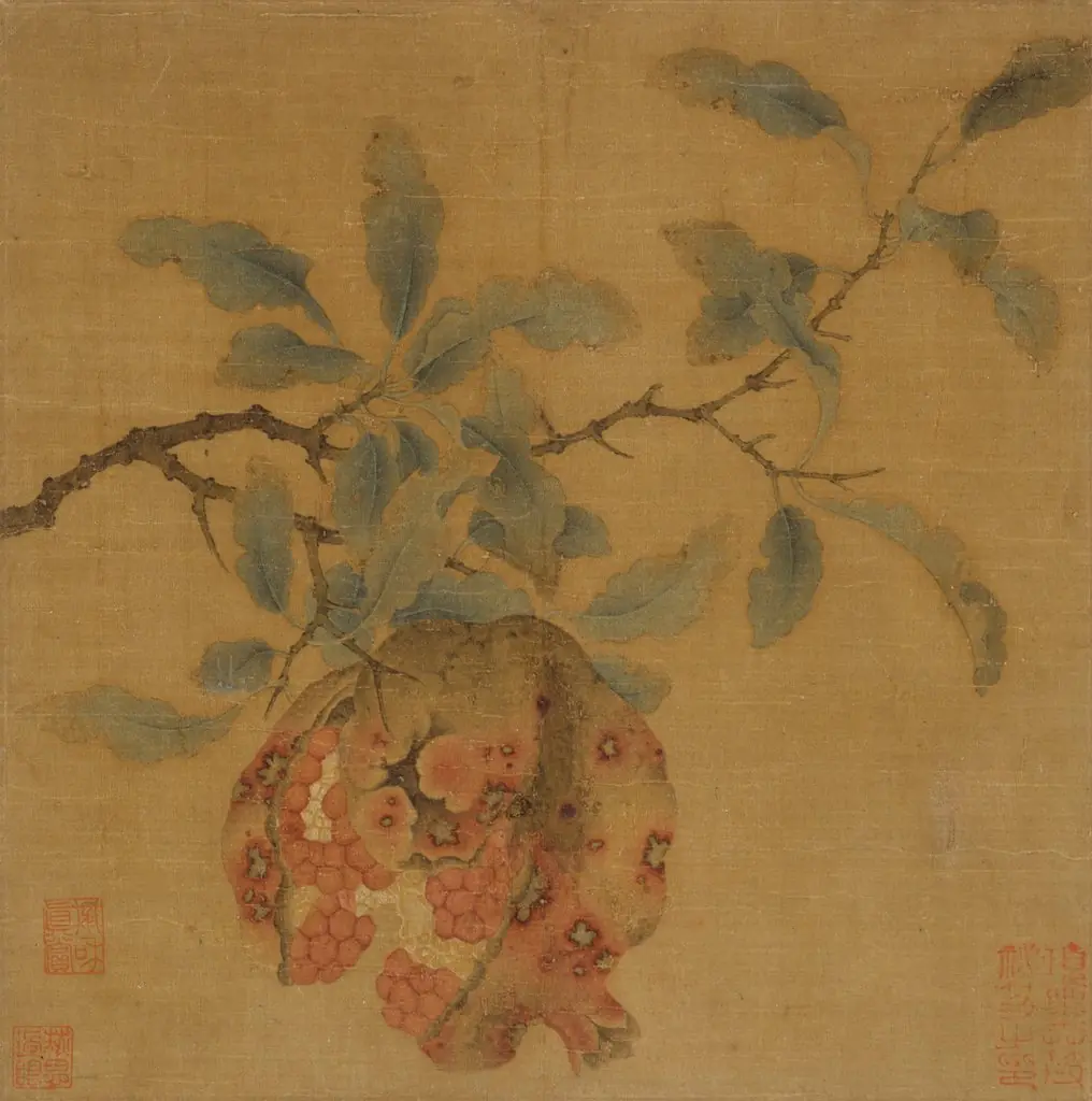Pomegranate, by Unknown