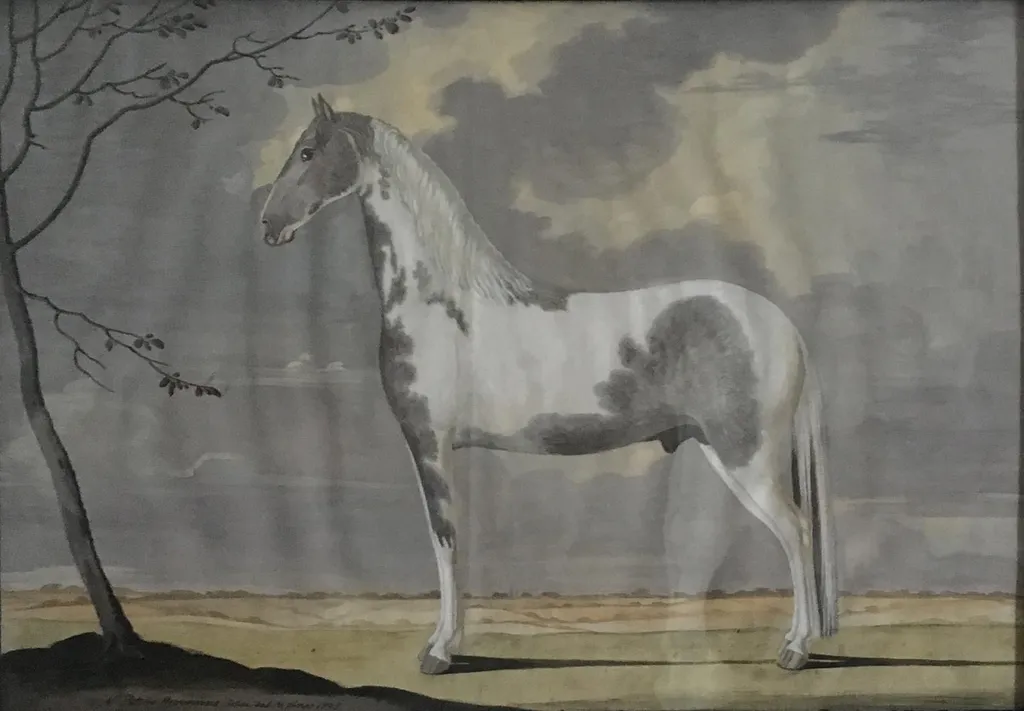 Portræt af en hvid- og gråblakket hingst, by Unknown, unspecified, 1795
