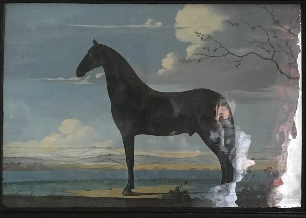 Portræt af en sort hingst, by Unknown, unspecified, 1795