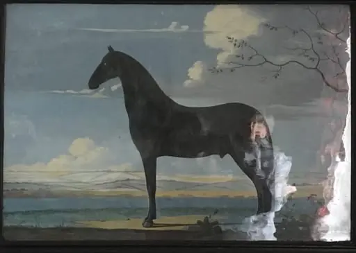 Portræt af en sort hingst, by Unknown
