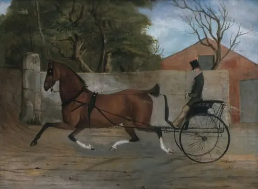 Portrait of a Gentleman in a Carriage, by Unknown, 1855